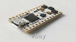 Custom DIY Neo pixel kit Proffie board v2.2 16GB SD Lightsaber Electronic Kit