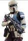 Plastic Star Wars Shoretrooper Full Movie Costume Armor First Order Cosplay